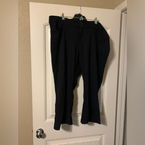 Torrid Studio Capri Pants